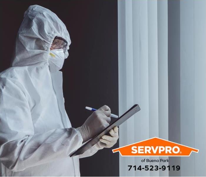 A remediation technician inspects a mold-damaged residence.