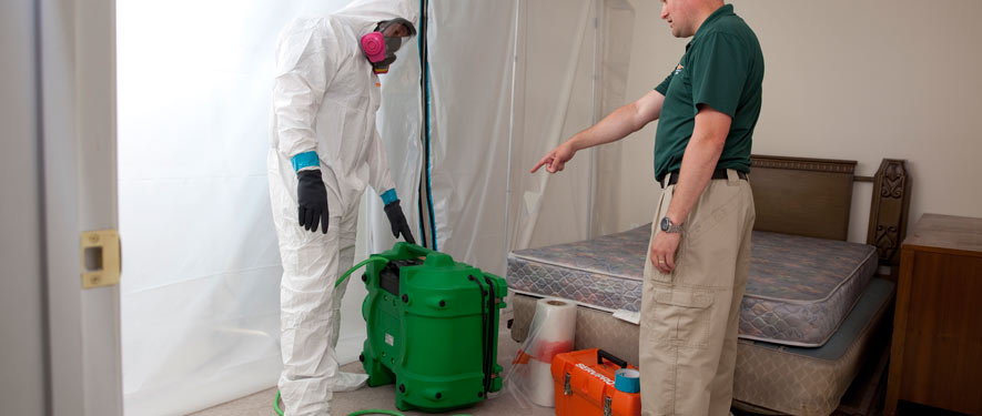 Buena Park, CA mold removal process